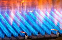 Bathpool gas fired boilers